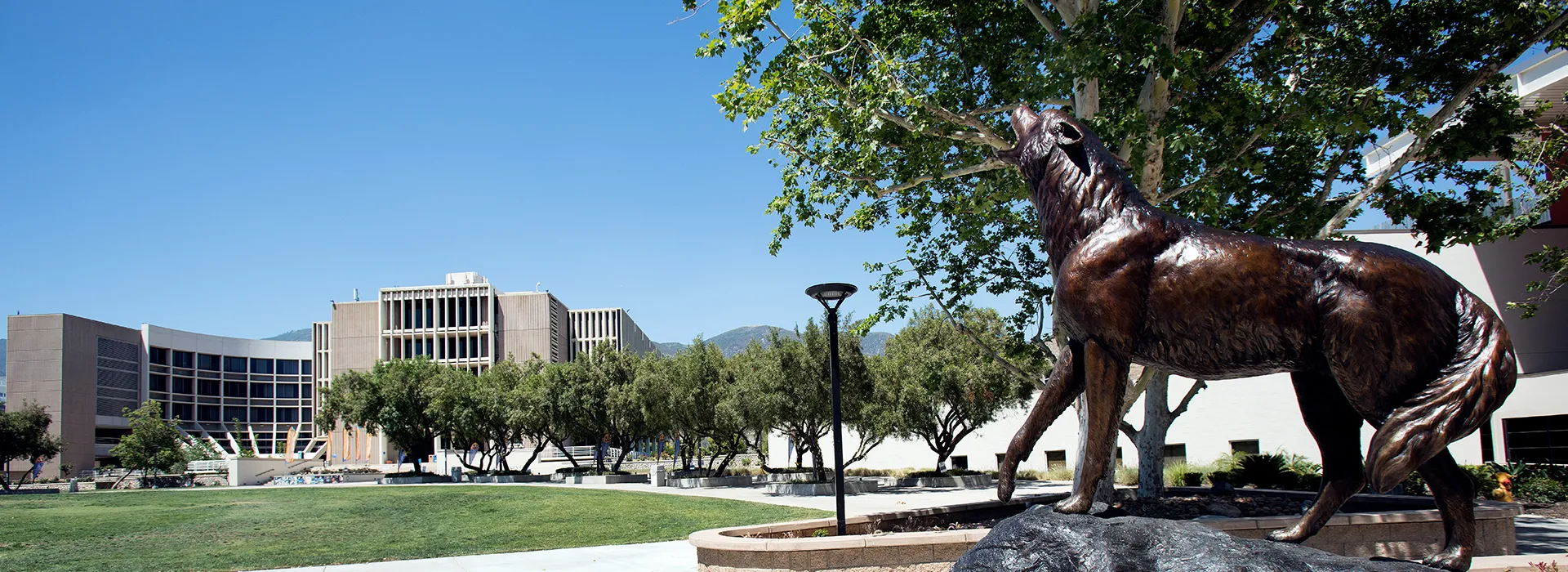 CSUSB to offer additional financial aid and more classes for students this summer