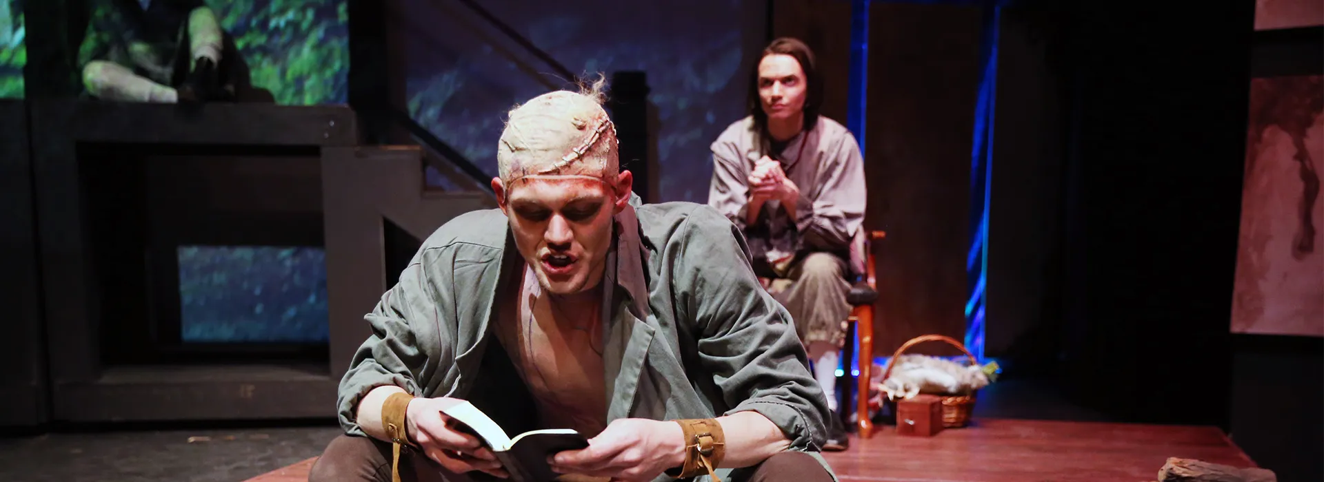 This fresh perspective on the life of Dr. Victor Frankenstein is a chilling story of great triumph and the gravest tragedy