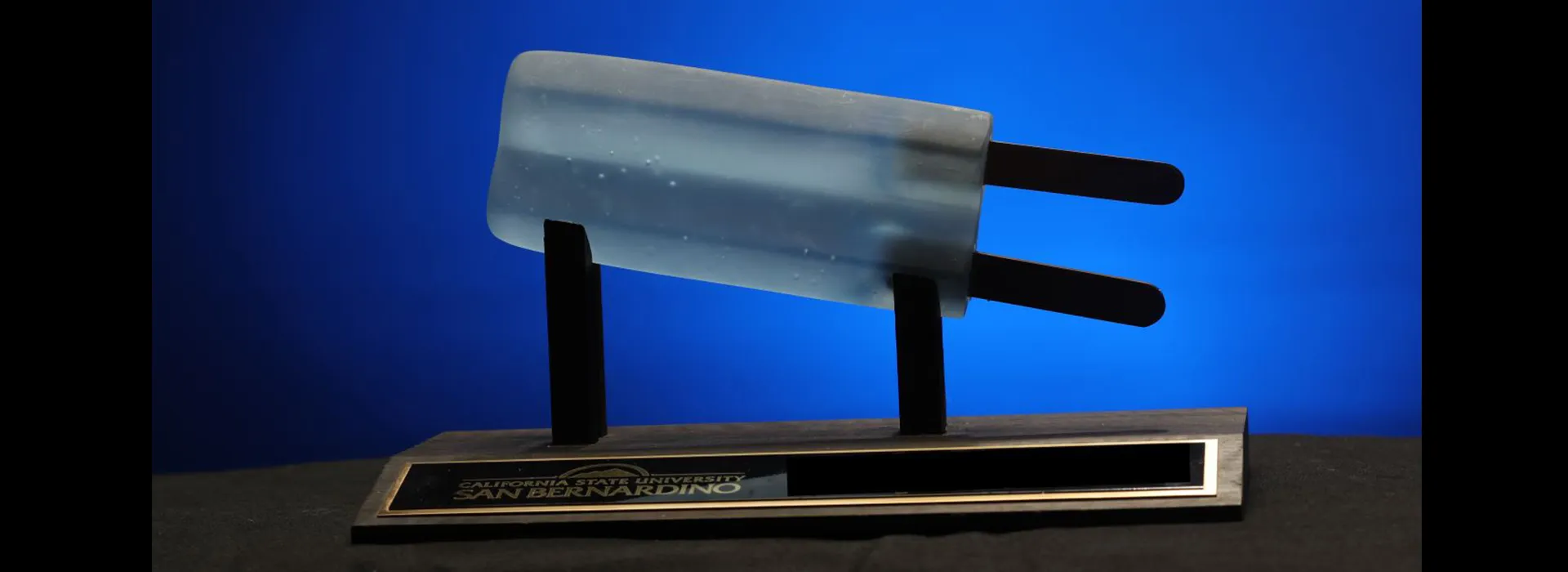 Inaugural Augie’s Pop of Kindness Day