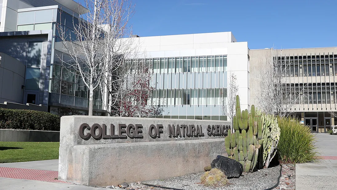 College of Natural Sciences