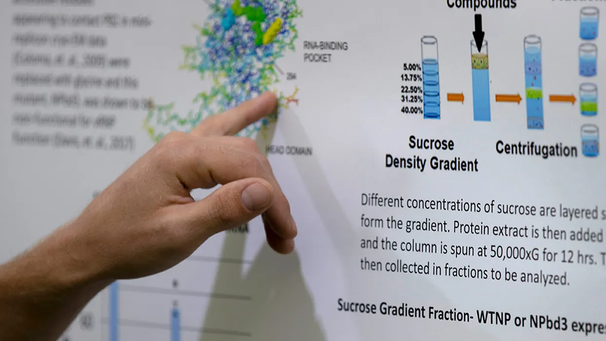CSUSB students and alumni are invited to participate as presenters, and faculty and graduate students can serve as moderators and judges at CSUSB's annual Research Week April 8-11.