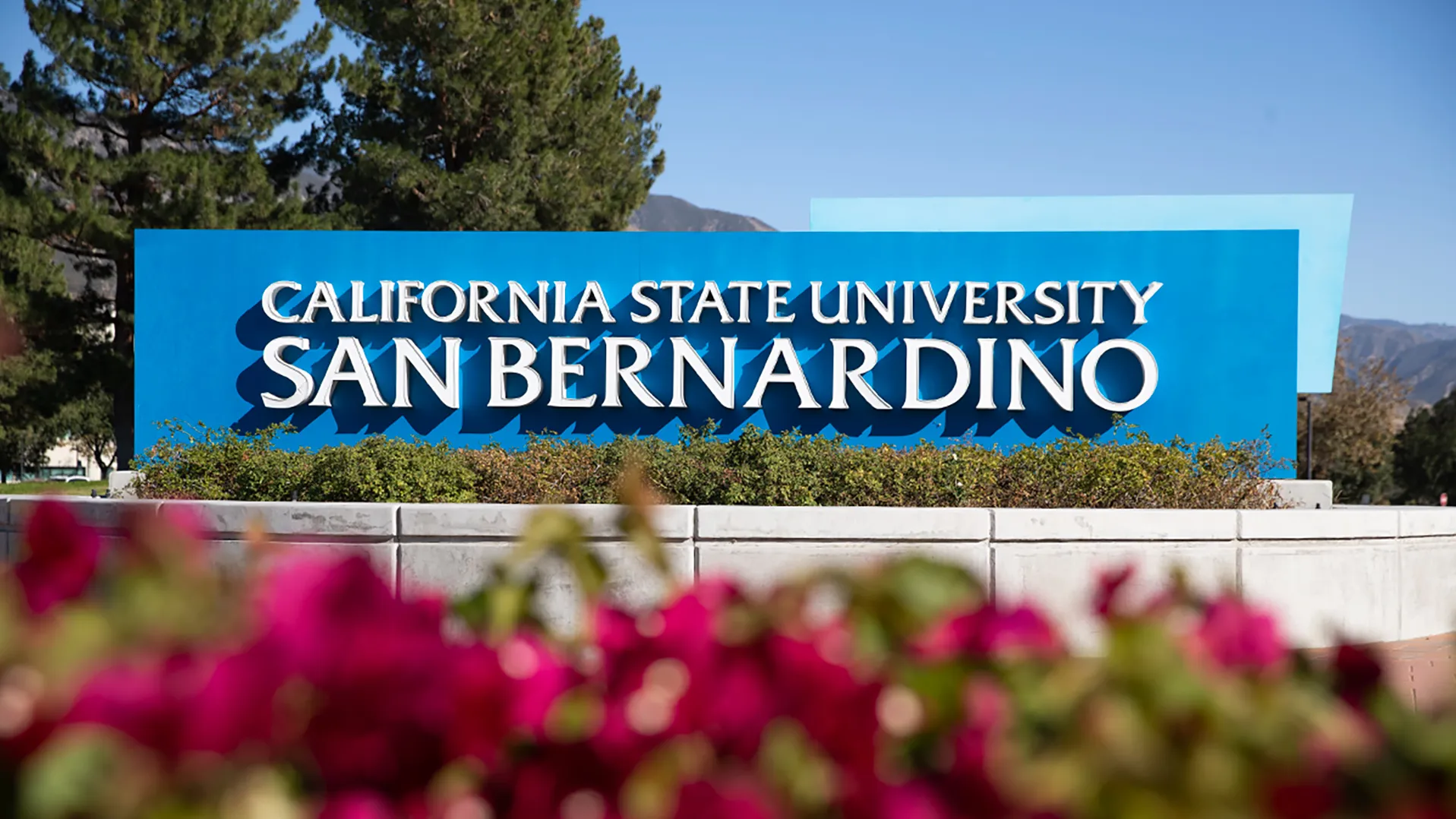 General campus photo