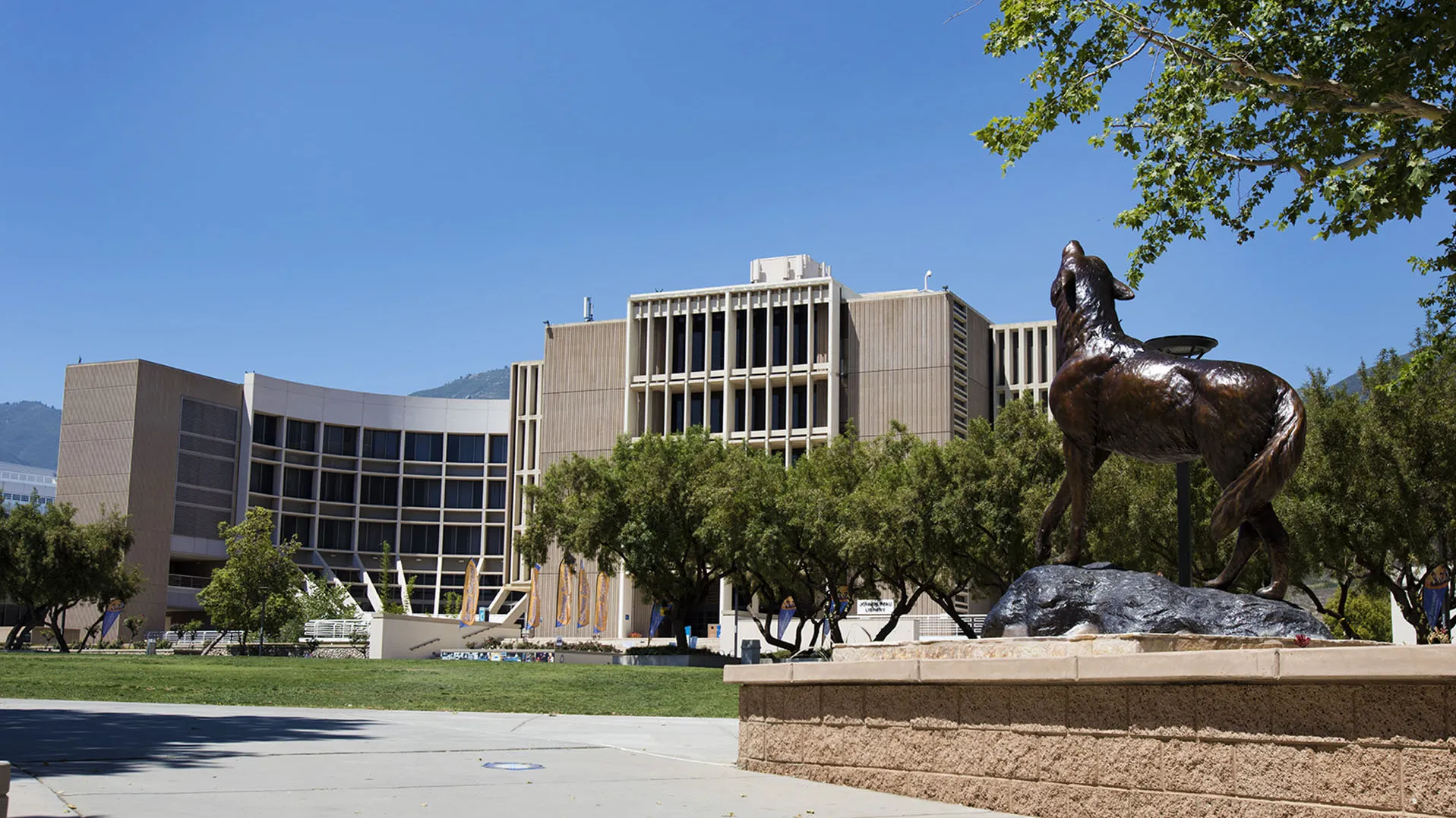 Wild Song and the John M. Pfau Library. 