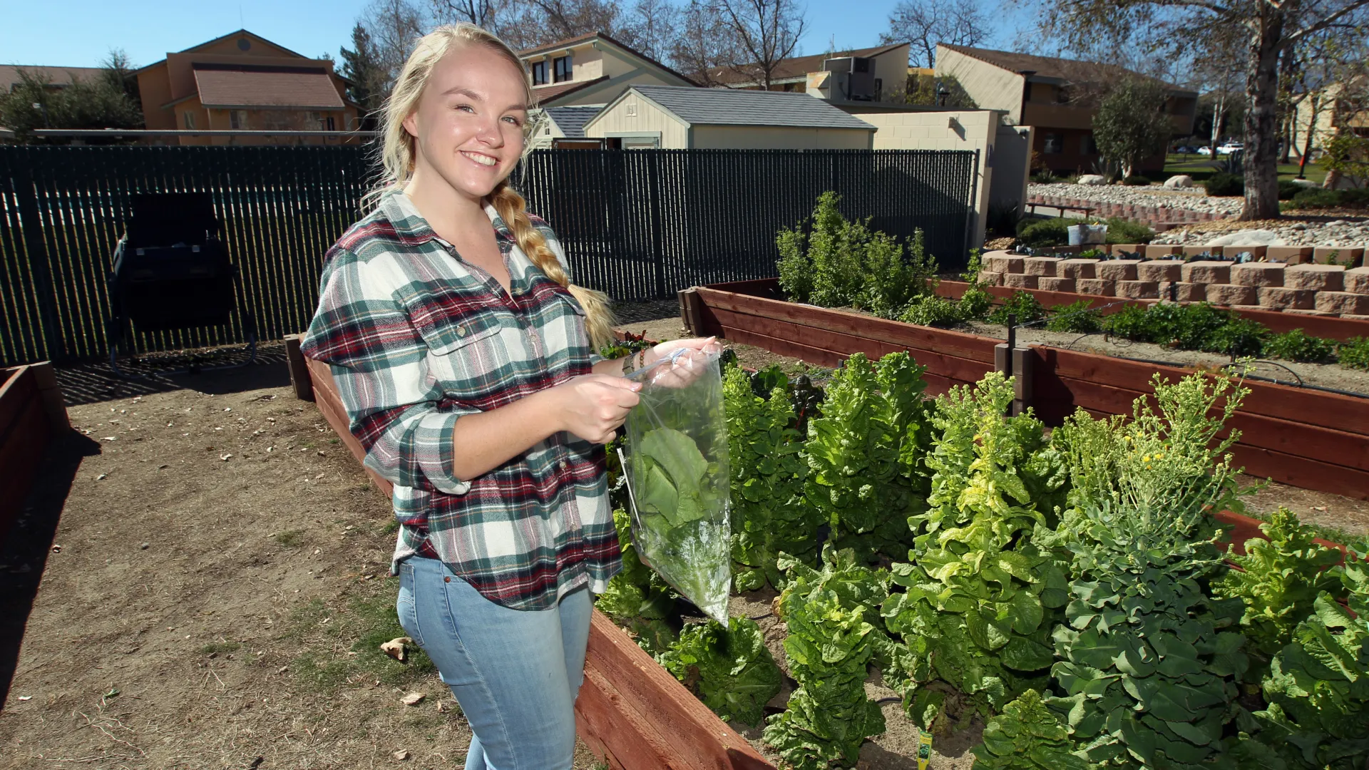 The Sustainable Food Systems program within CSUSB’s Department of Health Science and Human Ecology is hosting a new webinar series exploring food sustainability. All sessions will be held from noon to 12:30 p.m. on Zoom, and each webinar features a 20-25 minute presentation or interview, followed by a question-and-answer session.