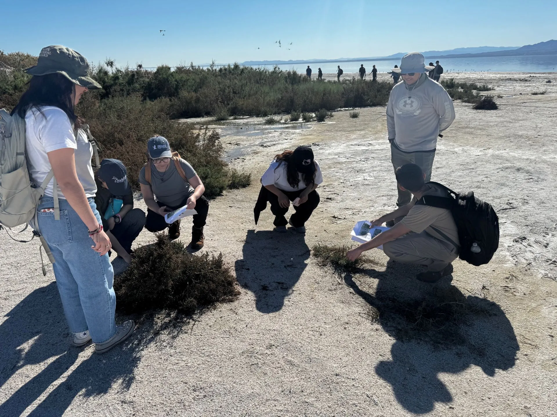 FLOWS participants at the Salton Sea