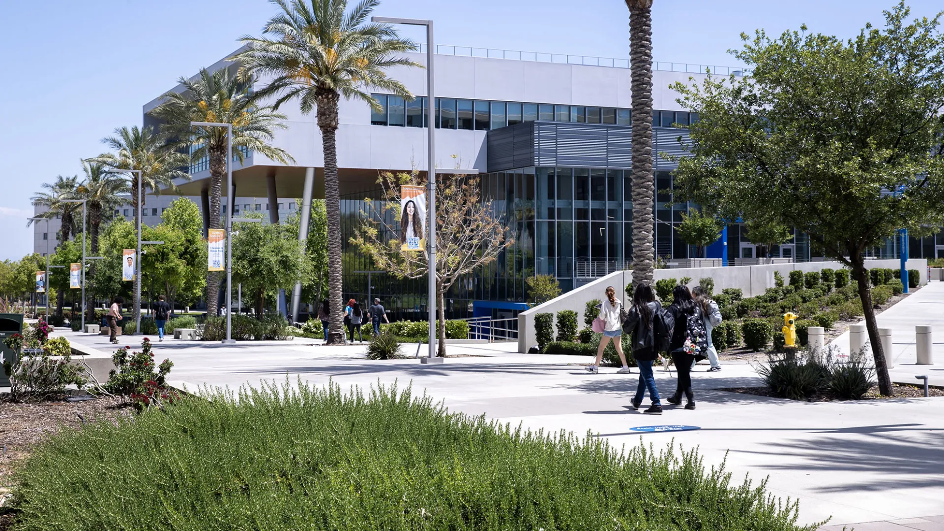 Students make their way down Coyote Walk. 