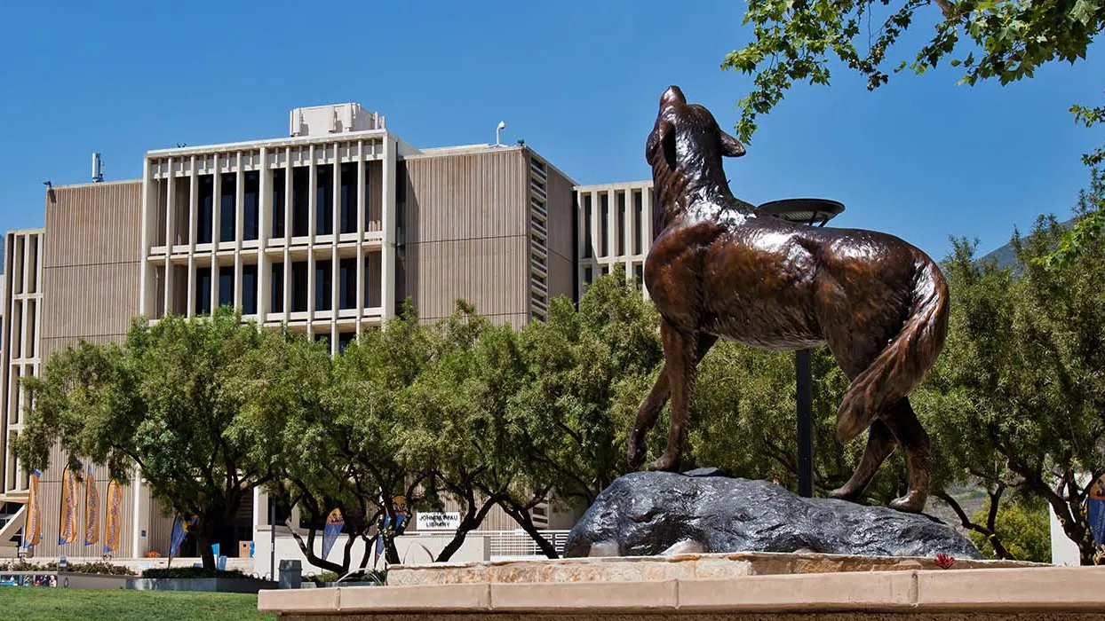 Wild Song and the Pfau Library in the summer