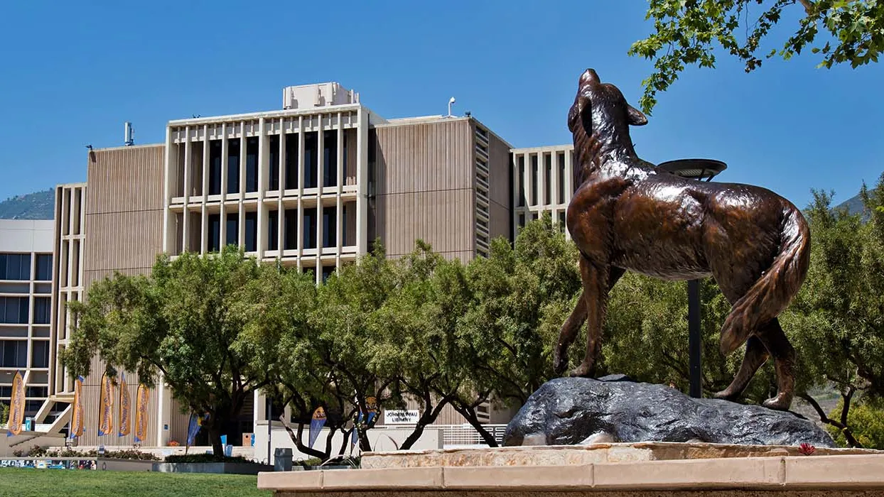 John M. Pfau Library and Wild Song