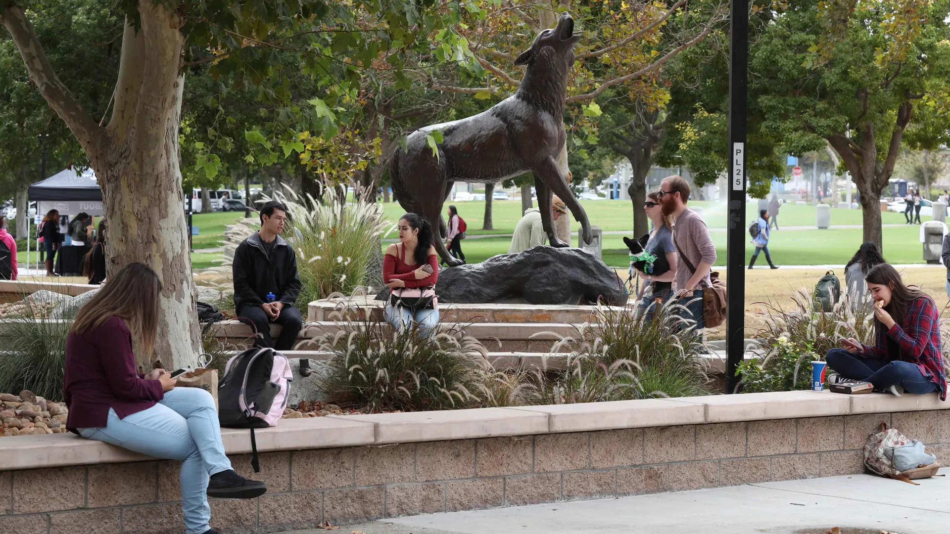 CSUSB was honored on Nov. 16 during the virtual Champions of Higher Education for Excellence Transfer Awards ceremony.