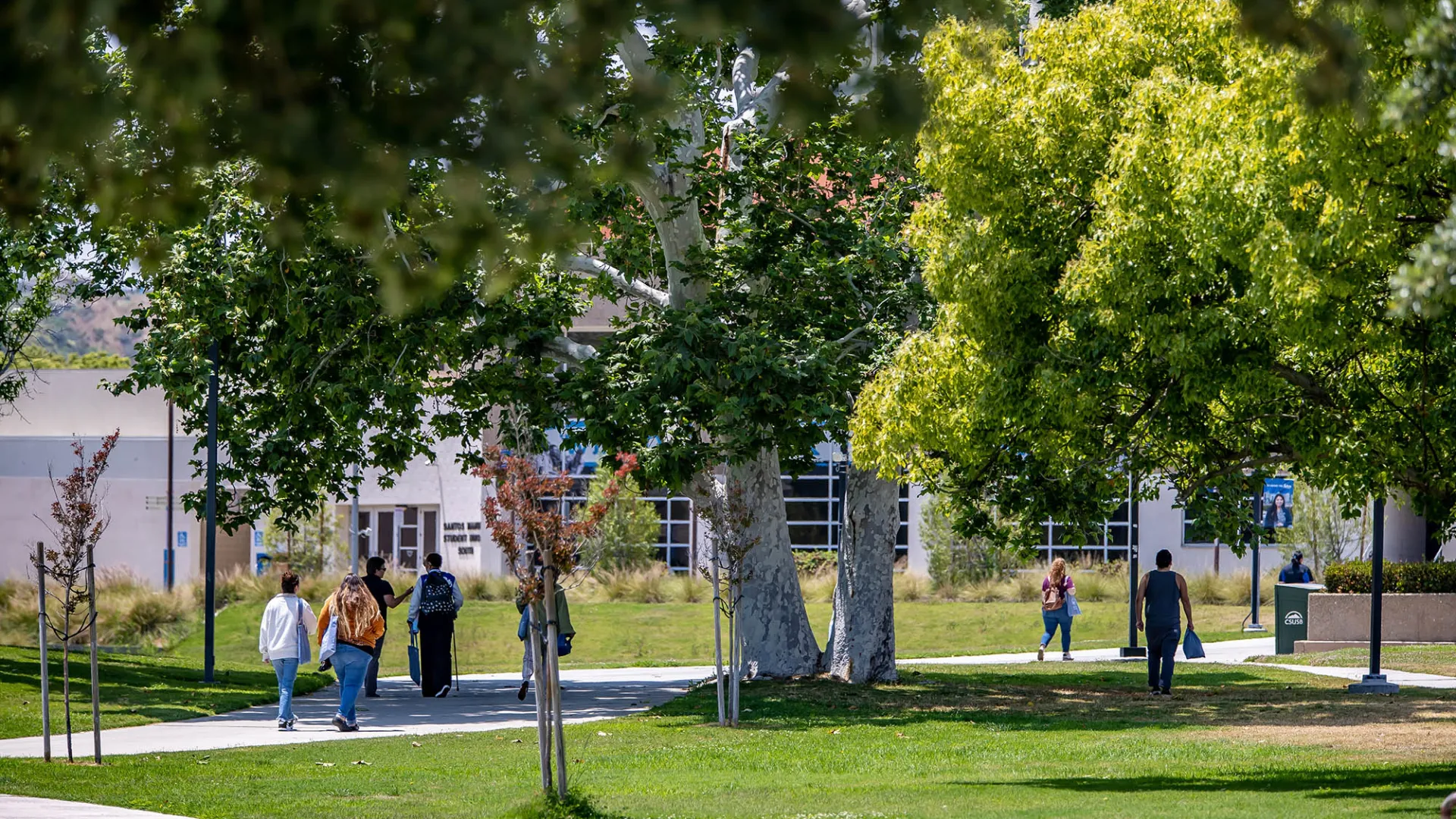 People on campus walking past trees.