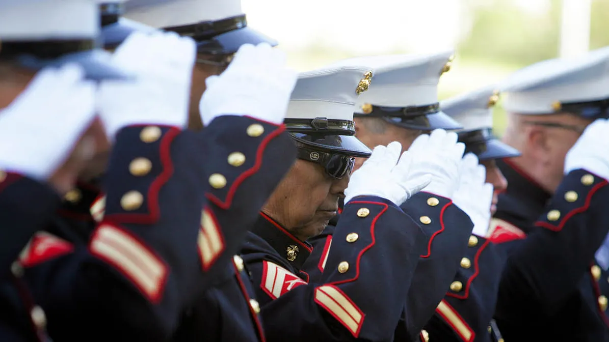 Veterans saluting