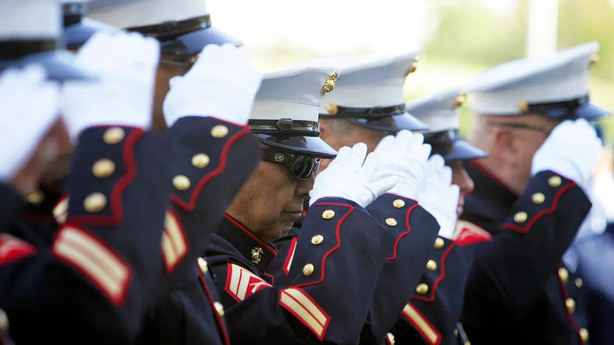 Veterans saluting