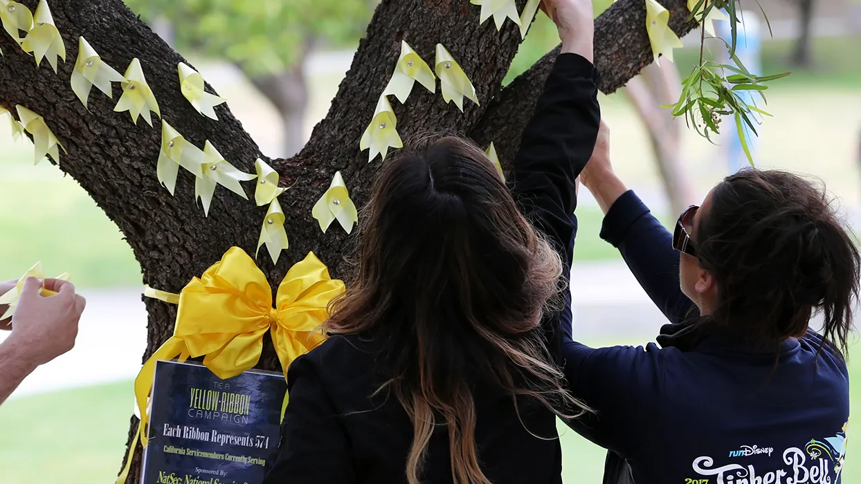 Armed Forces Day on May 15