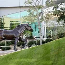 CSUSB Palm Desert Campus