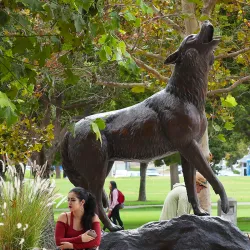 CSUSB ranked in top 15