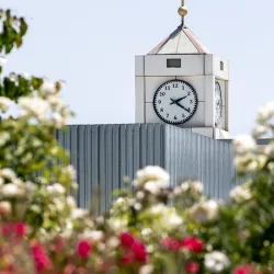 Cal State San Bernardino campus