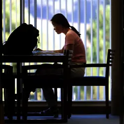 Student studying by a window.