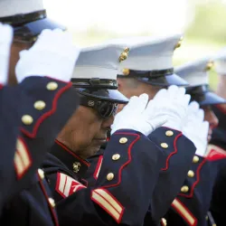 Veterans Day file art