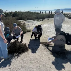 FLOWS participants at the Salton Sea