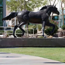 CSUSB Palm Desert Campus students will work together in teams to determine key messages, and will write and produce online, press, video and radio broadcast content focused on the programs and success stories of the Boys & Girls Club of Palm Springs.