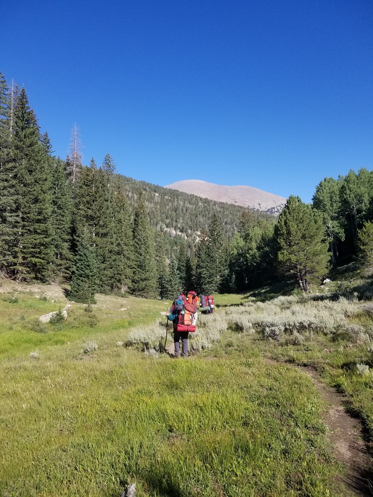 hiker in a meadow