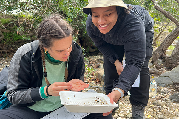 “The FLOWS Fellows who came from each local area could bring in their own community perspectives, providing a rich and engaged learning community,” said Jennifer Alford, associate professor of geography and environmental studies at CSUSB.