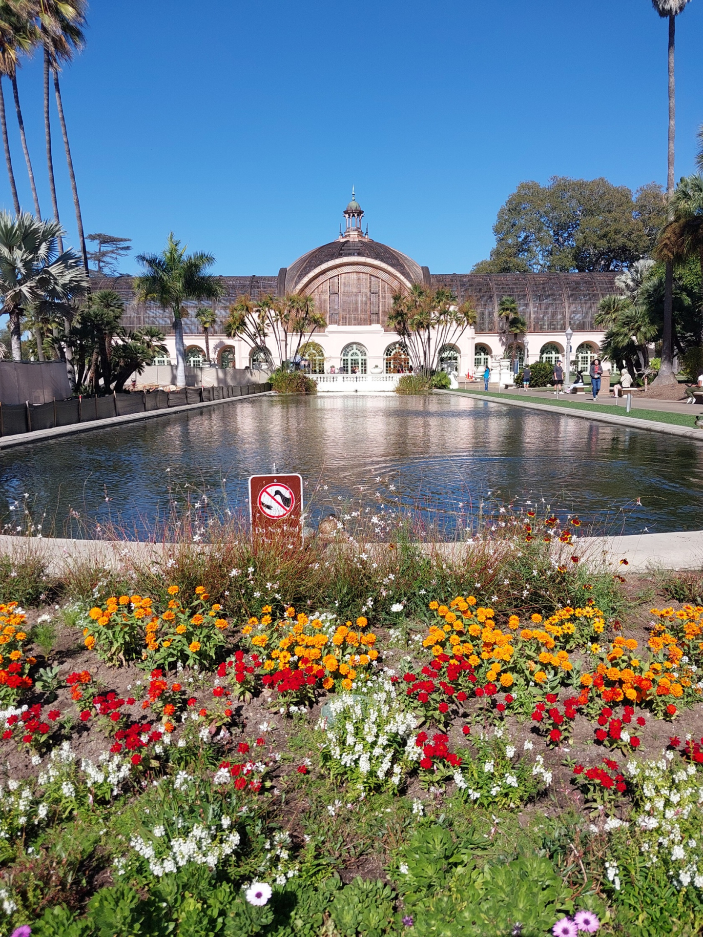 pond in front of botanic building