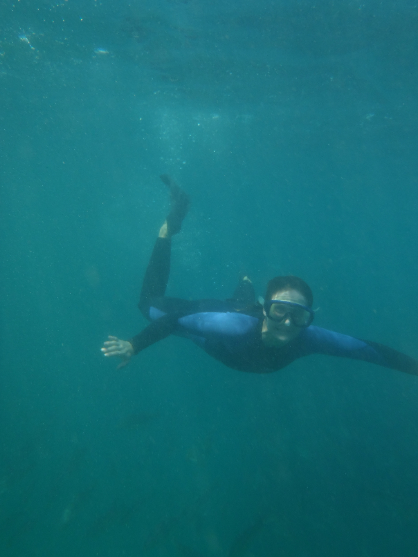 snorkeler in wetsuit underwater