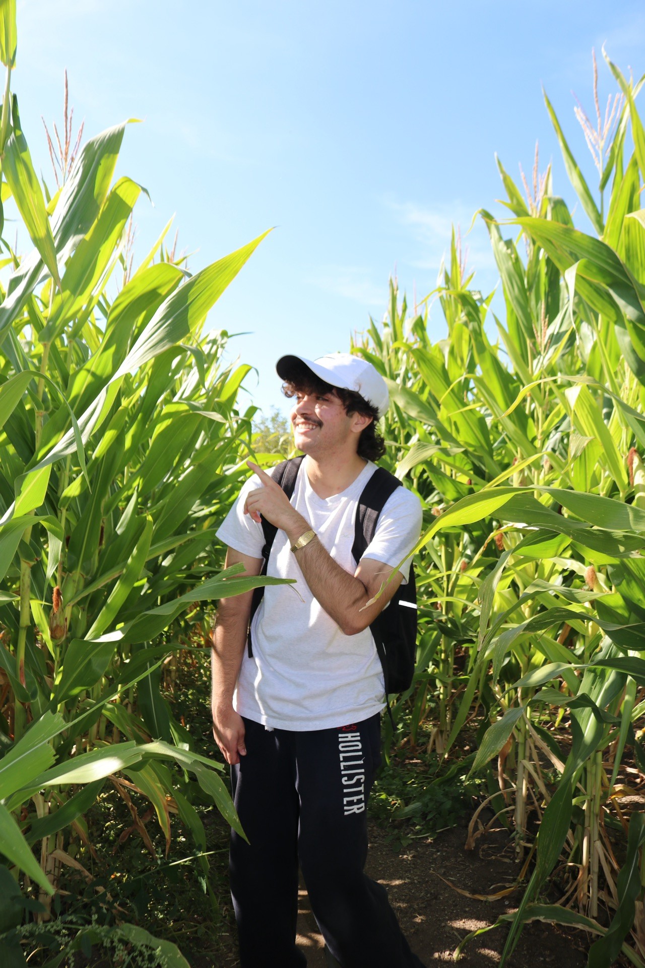 man in corn maze