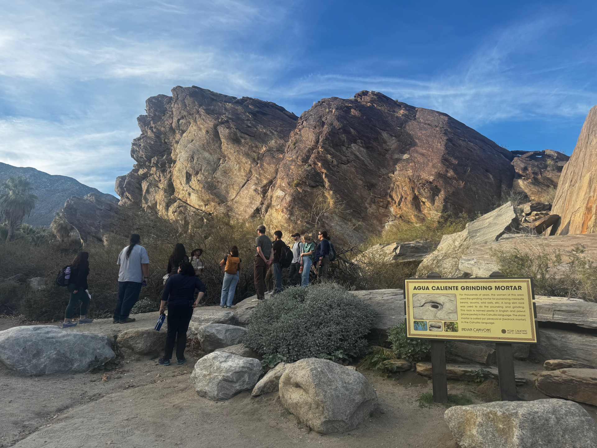 FLOWS participants at Andreas Canyon